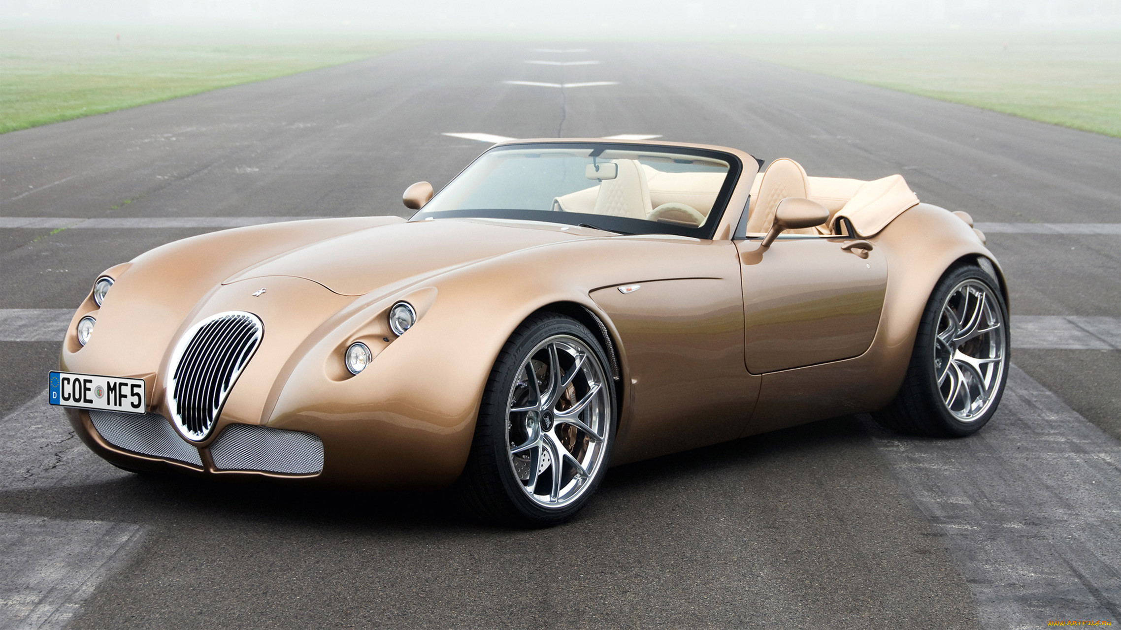 wiesmann roadster mf5 2011, , wiesmann, 2011, mf5, roadster